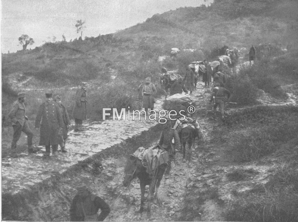 Massacres of Albanians during and after the Serbian Retreat in Albania and Kosovo in 1915
