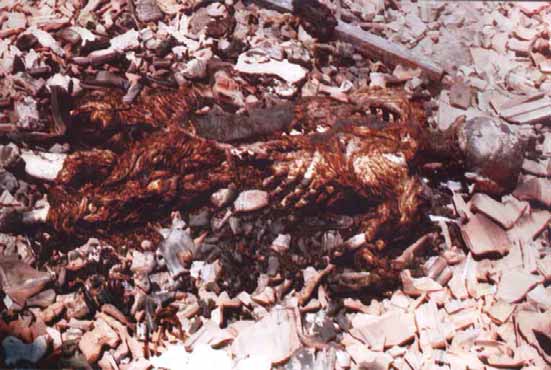 Photos of Albanians killed, tortured and expelled by Serbian military and police in 1989-1999