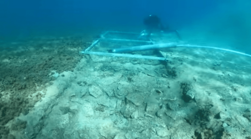 7,000 year old Paved Road Discovered in the Illyrian Adriatic Sea