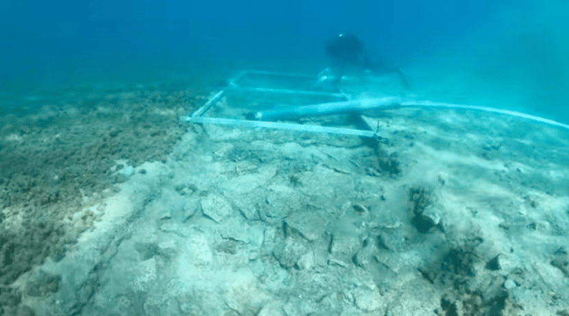 7,000 year old Paved Road Discovered in the Illyrian Adriatic&nbsp;Sea