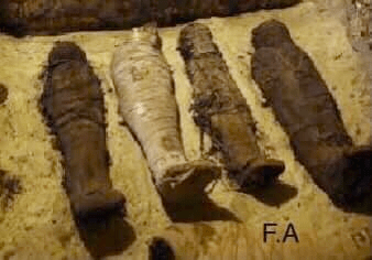 Where are the Illyrian and Dardanian mummies from Kladno, Lipova, Gërçar and Kumanovë?