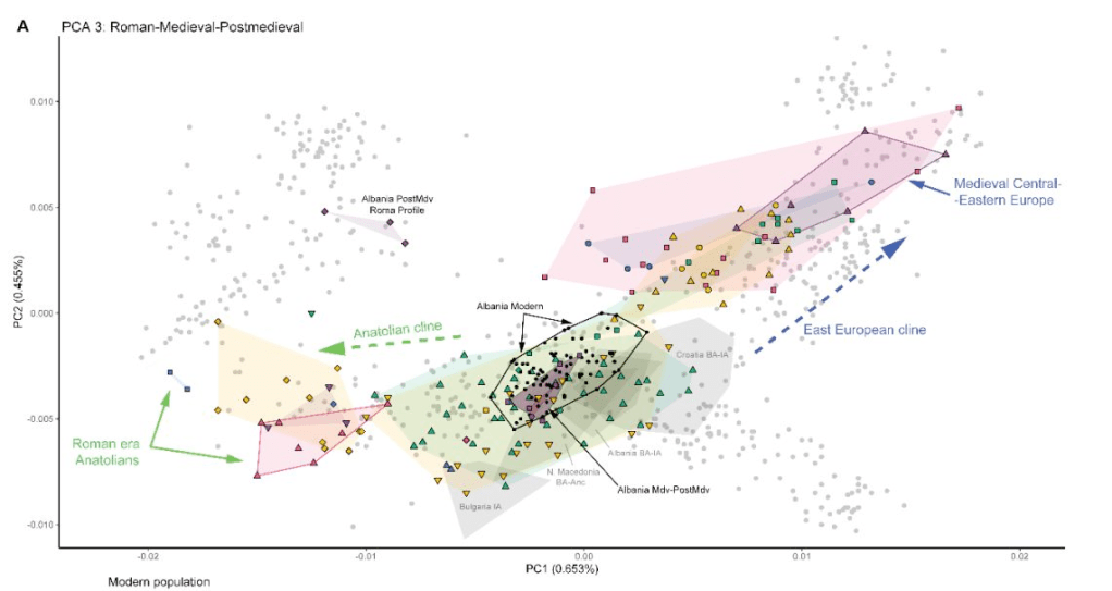 Genetic study shows Albanians are overwhelmingly descendants from Medieval Albania and pre-Roman&nbsp;times