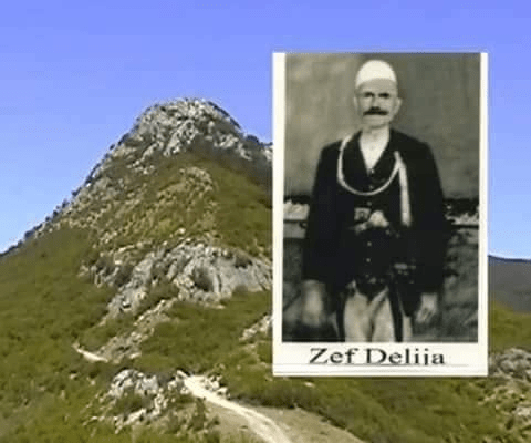 Zef Delia