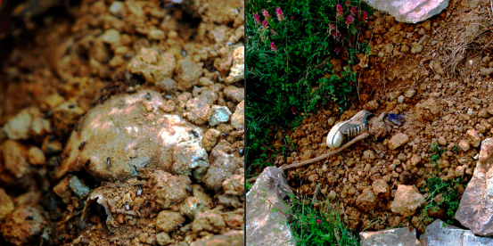 Serbian war crimes in 1999: The body of an Albanian civilian killed by Serbian forces in the Drenicë region.