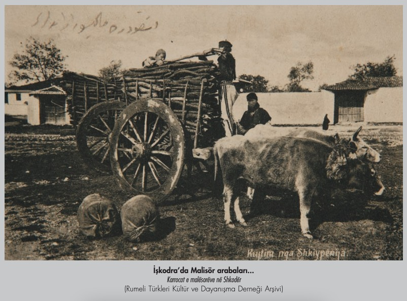 The 18th century Catholic families living in the city of Shkodra