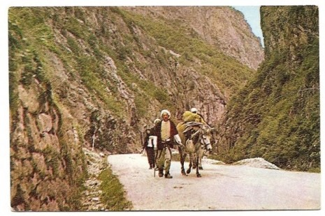 The Displacement of the Population of Rugova in 1919 by Serbian and Montenegrin forces