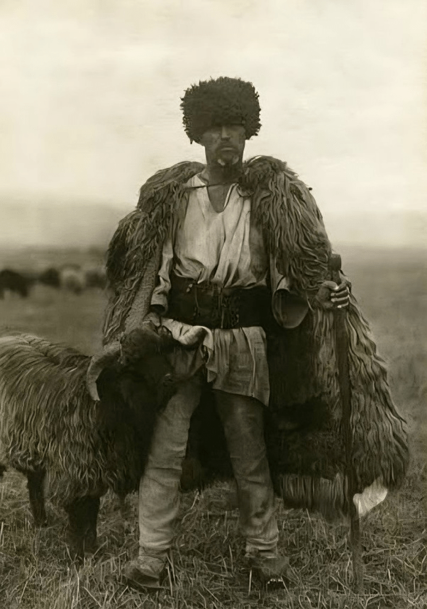 Theoretical etymologies for ΚΟΣΩΝ and the name Kos (Kosovo) and a linguistic&nbsp;hypothesis