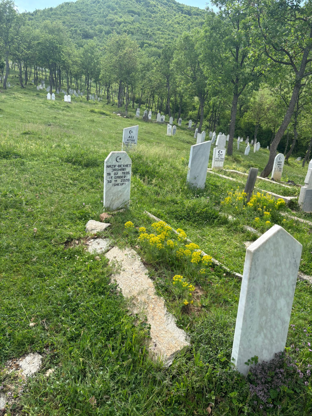 When the Ottoman Albanian artillery in Kumanovë almost forced the Serbian invaders to retreat in November 1912