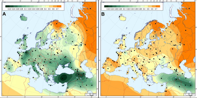 Albanian genetic ancestry