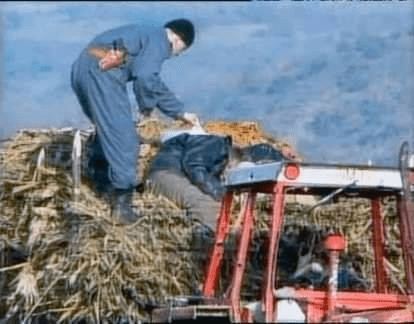 Photos: Serbian soldiers loot the corpses of Albanian children and civilians murdered in 1999 in Rakovina
