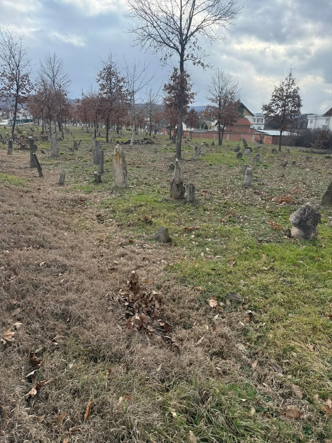 The Illyrians: Prehistoric Populations and Ethnolinguistic Connections