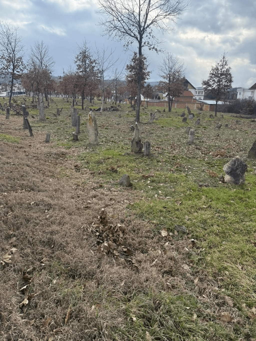 The Illyrians: Prehistoric Populations and Ethnolinguistic&nbsp;Connections