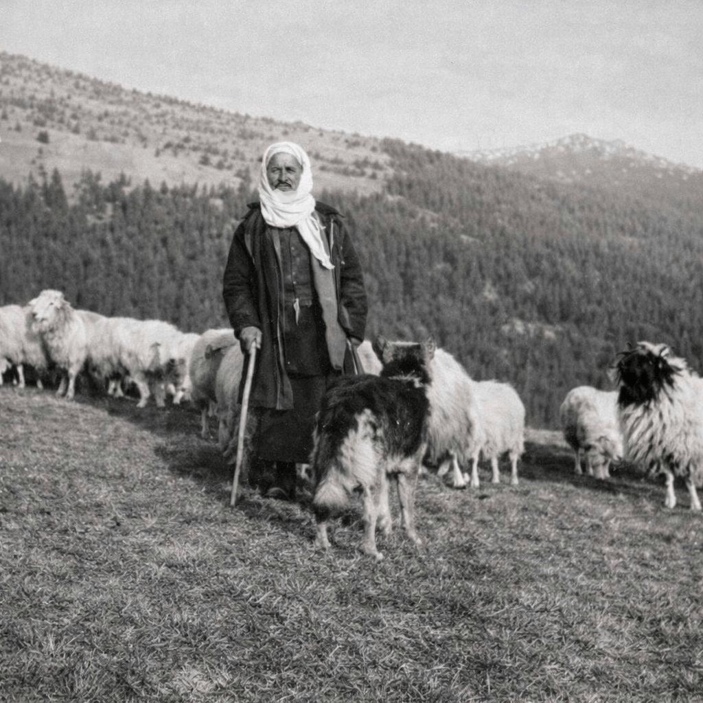 The Albanian Shepherd and the Oppressive Slavic&nbsp;Tsar