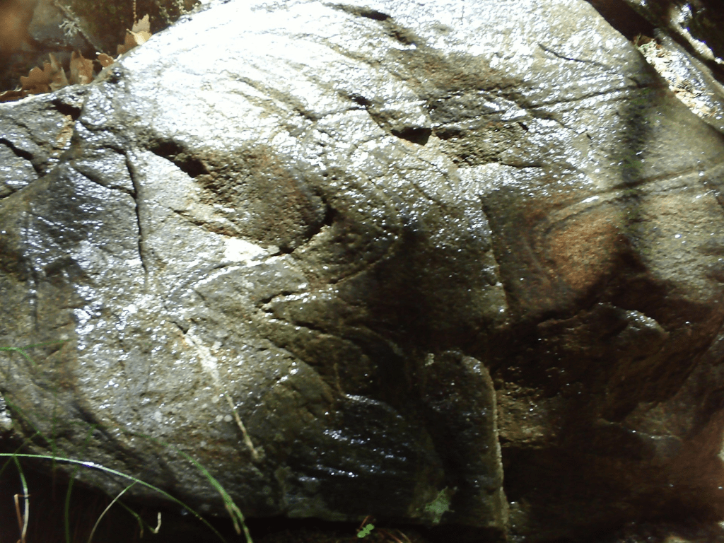Two illyrian snakes carved onto stones in Fericeve of Dardane&nbsp;Municpality