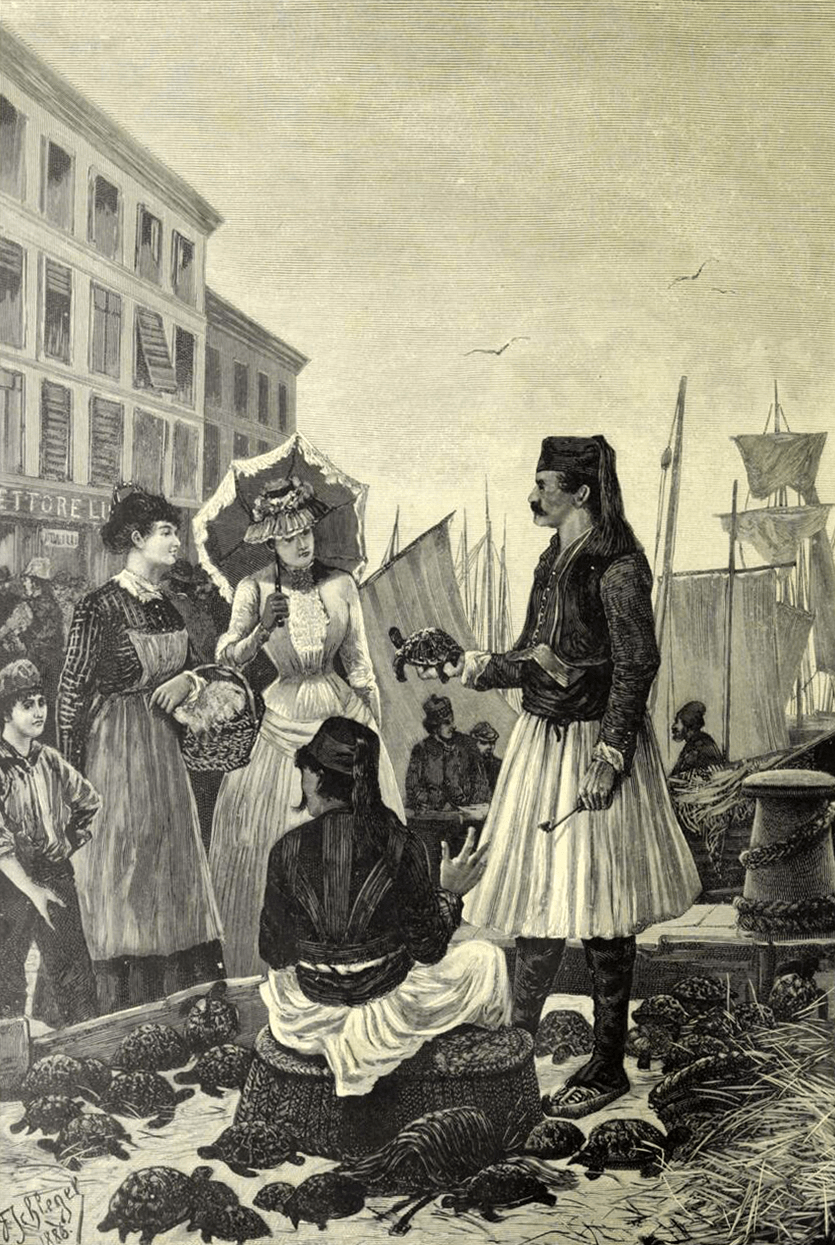 An Albanian selling turtles in&nbsp;Trieste