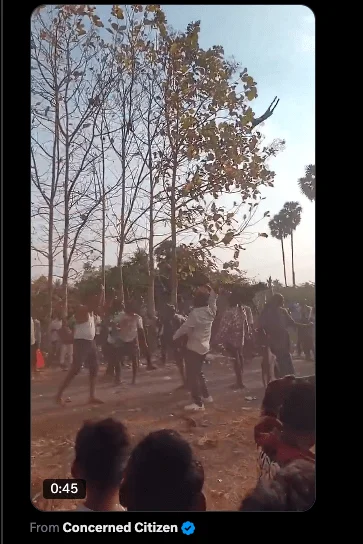 Tradition Cannot Justify Cruelty: Animal Cruelty in Tamil Nadu in Southern India