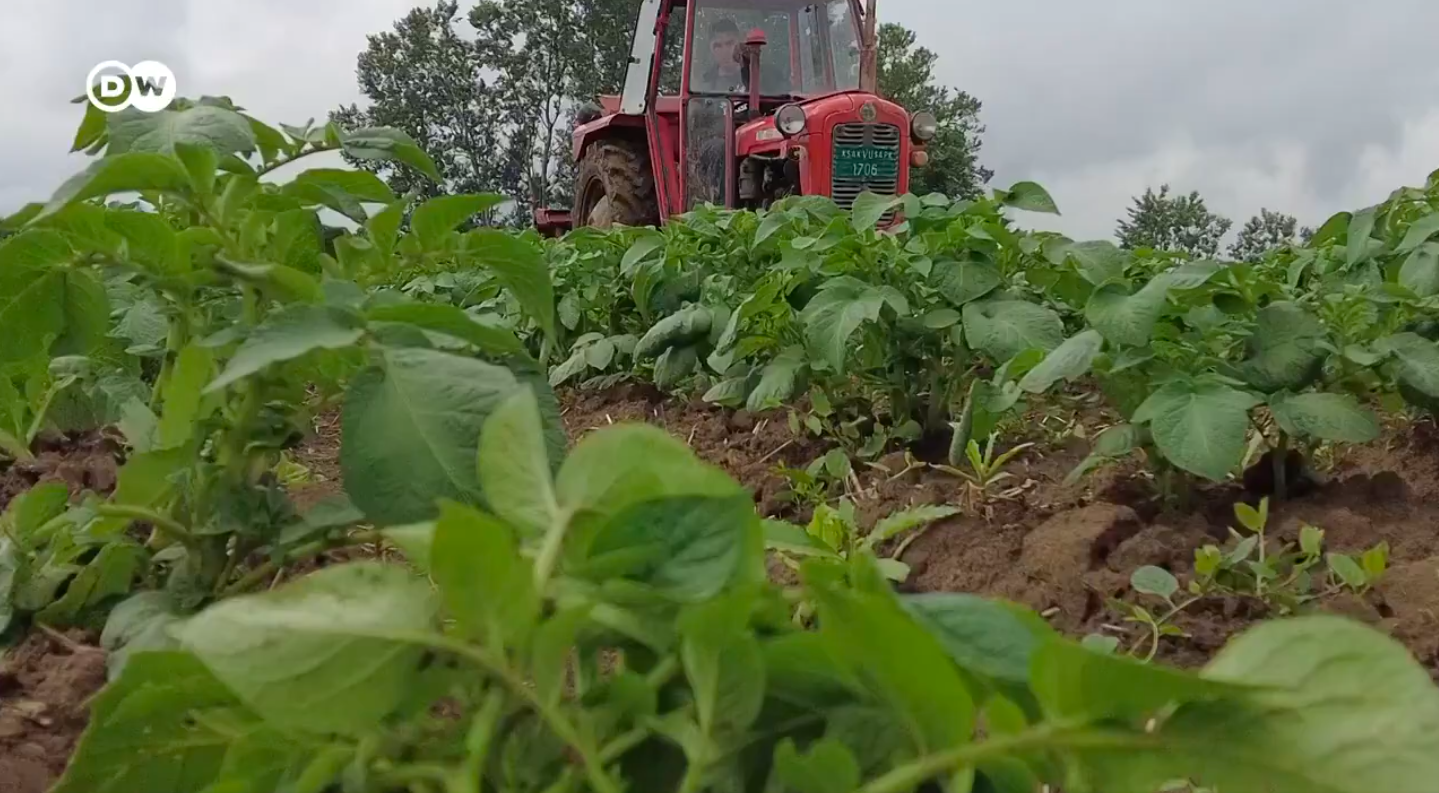 Aleksander Vucic’s politics is ruining the future of Serbs in the Republic of Kosovo