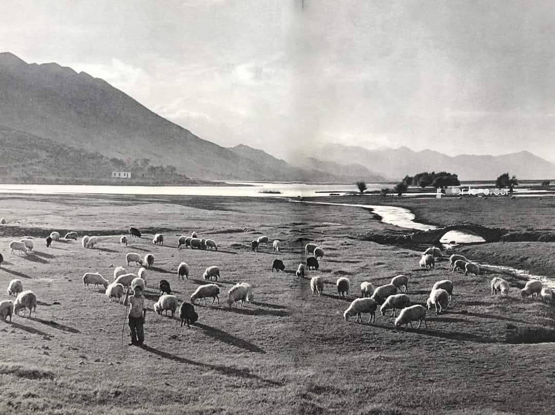 Albanians have suffered most in the Balkans from all its Slavic and Greek neighbors