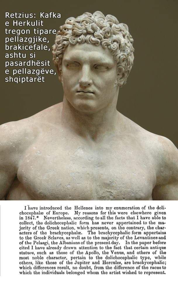 Retzius: The head of Hercules shows Pelasgian, brachycephalic features, just like the descendants of the Pelasgians, the Albanians