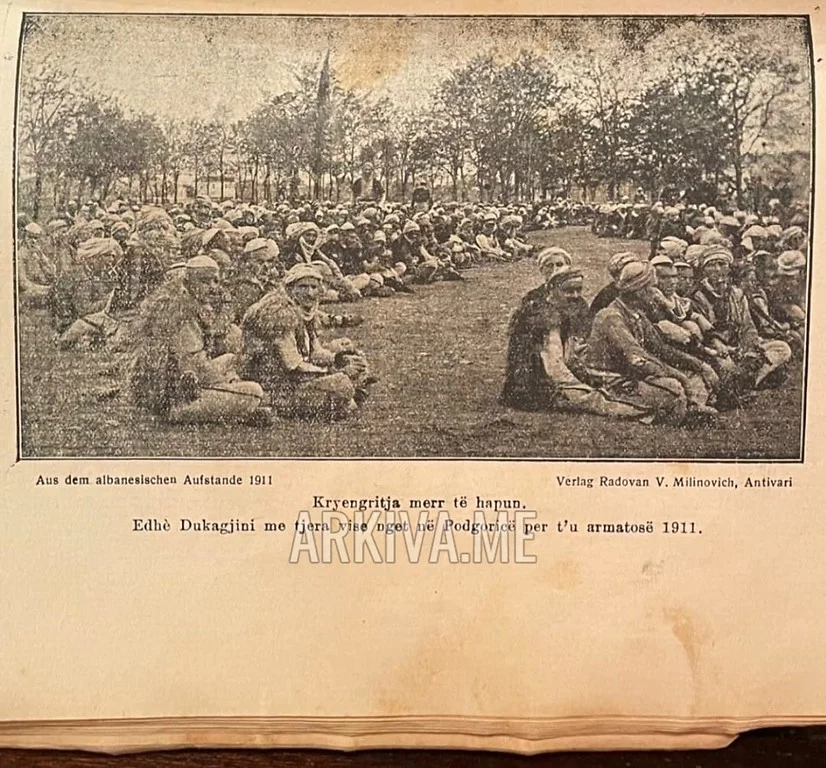 The Question of the Albanian-Greek and Bulgarian-Albanian Alliance (1907)