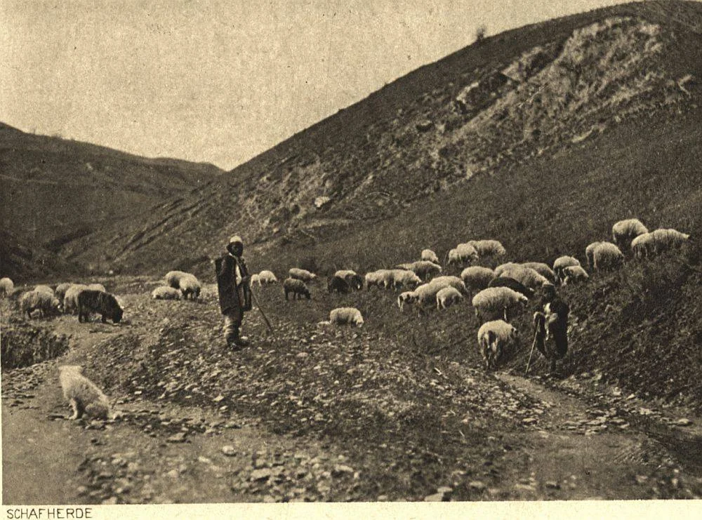 The Division of Albanian Lands During the Years 1914-1918 and Its Population