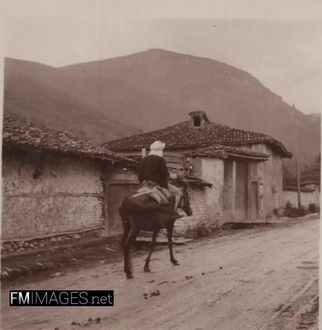 The Montenegrin massacre of Albanian shepherds from Rugova grazing their sheep in Polica and Gorazhdë in 1884