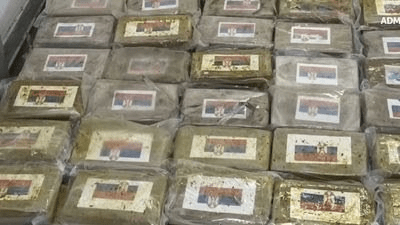 770 kg of clean cocain marked with Serbian flags seized by Italian police