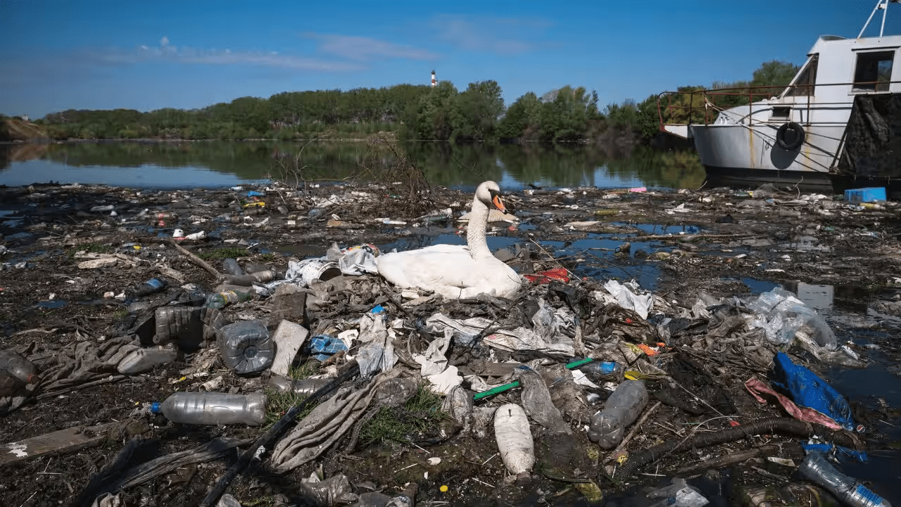 Serbia’s Wastewater Crisis: How Untreated Sewage Is Polluting the Danube