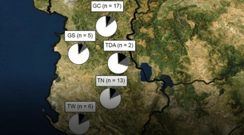 The origin of Albanians according to ancient DNA and population genetics
